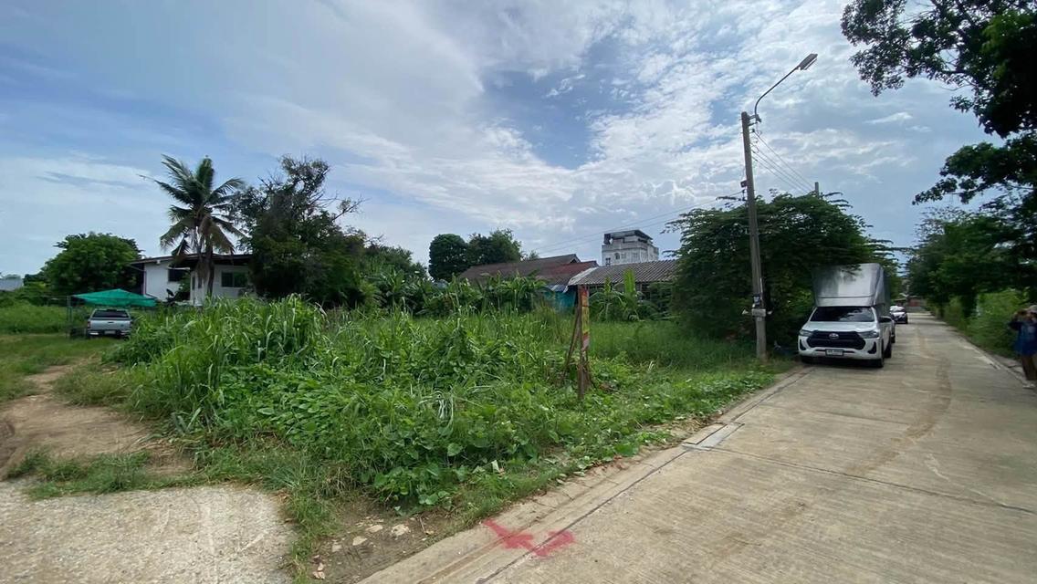 ขายด่วนที่ดินต่ำกว่าราคาประเมิน 108 ตรว ติดถนนคอนกรีต ซ.เพชรเกษม 108 ภาษีเจริญ กรุงเทพฯ 8