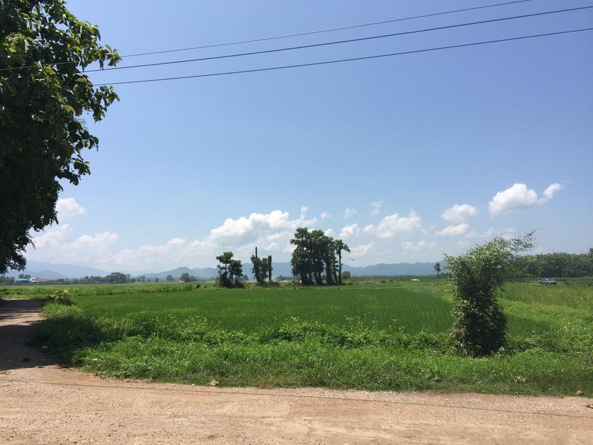 ขายที่ดิน1ไร่3งาน 58 ตรว บ้านหลุก ตำบลนาครัว อำเภอแม่ทะ จังหวัดลำปาง 3