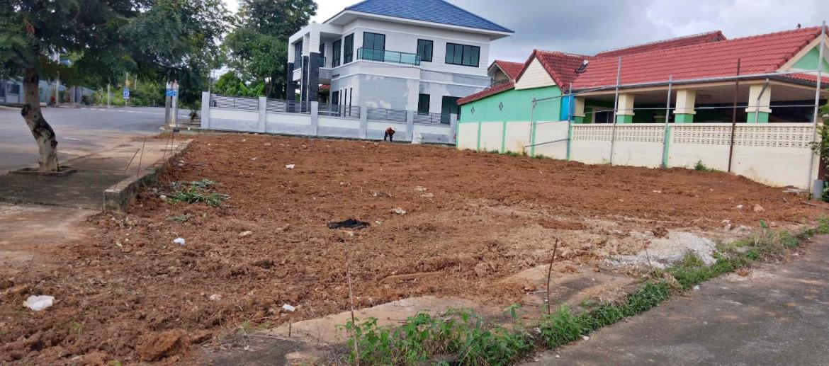 ขายที่ดินสัตหีบ ในหมู่บ้านอัมรินทร์ซิตี้  4