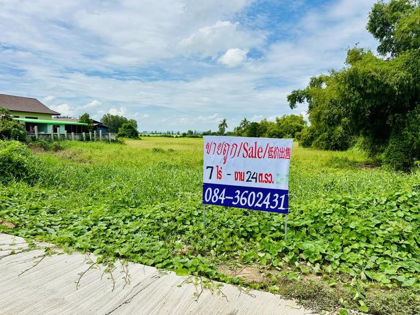 ขายด่วน ที่ดิน สิงห์บุรี อินทร์บุรี ชีน้ำร้าย 7 ไร่เศษ 3