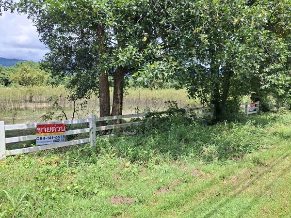 ขายที่ดินแปลงใหญ่สวยเนื้อที่ 11 ไร่ ต.สาริกา อ.เมืองนครนายก จ.นครนายก โทร.084-1416555 5