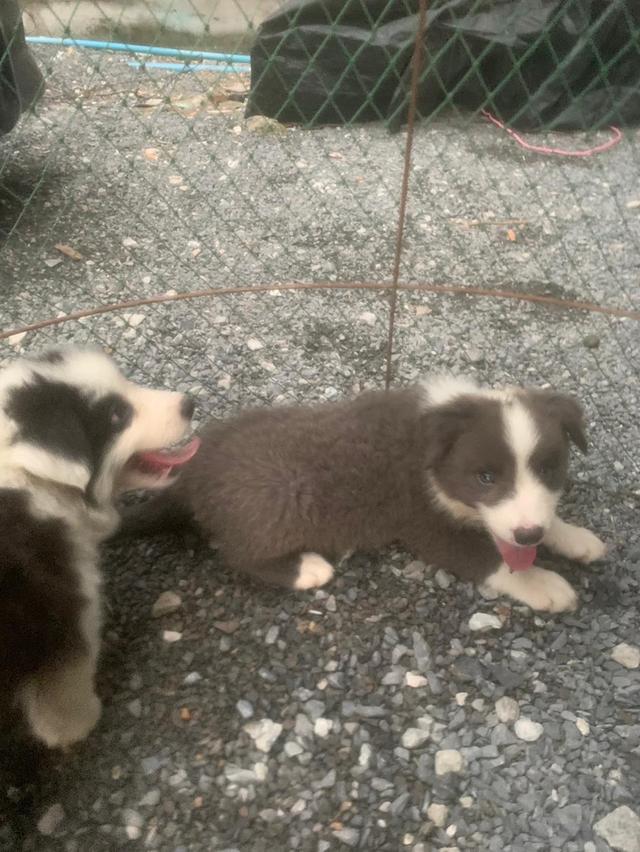 ผมไม่ซนครับพี่ๆ 6
