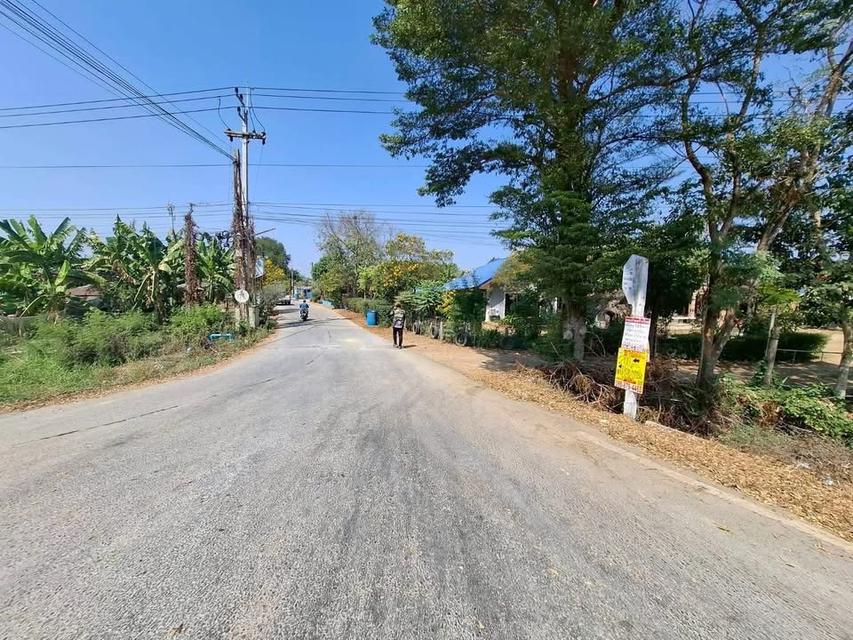 ขายด่วนที่ดิน 200 ตารางวา) ติดถนนคอนกรีตสาธารณะ ถมแล้ว ต.รางพิกุล อ.กำแพงแสน จ.นครปฐม รูปที่ 8