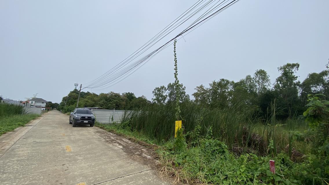 ขายด่วนที่ดินคลองสอง 183 ตรวติดถนนคอนกรีตสาธารณะ ซ.ไอยรา 22 อ.คลองหลวง จ.ปทุมธานี 6