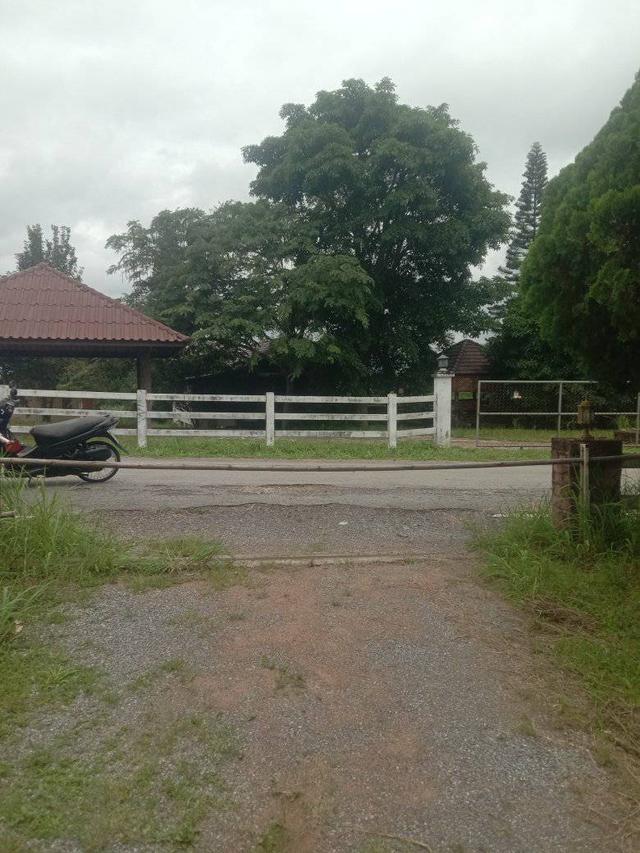 ที่ดินพร้อมบ้าน 4ไร่2งาน 3.2 ล้าน ห่างจากถนน 304 2กิโลเมตร ทางไปคลองสอง 6