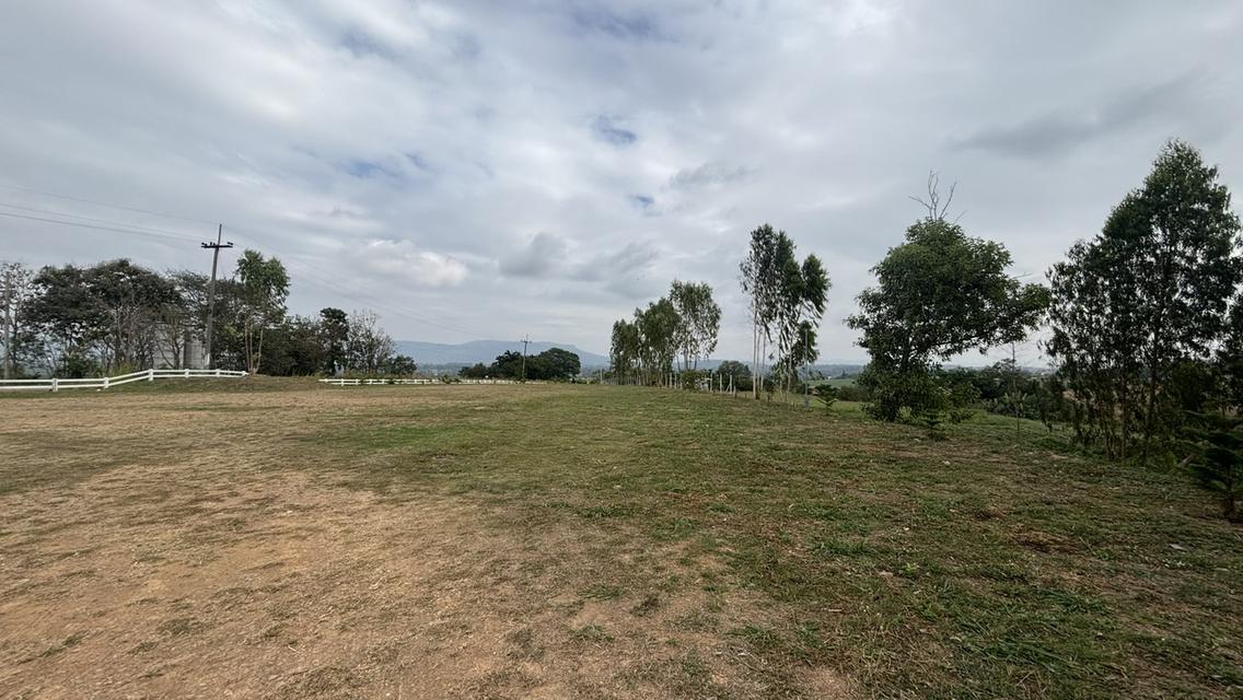 ที่ดินเปล่า 7 ไร่ 2 งาน ไร่ละ 9แสน แบ่งได้ อ.วังน้ำเขียว