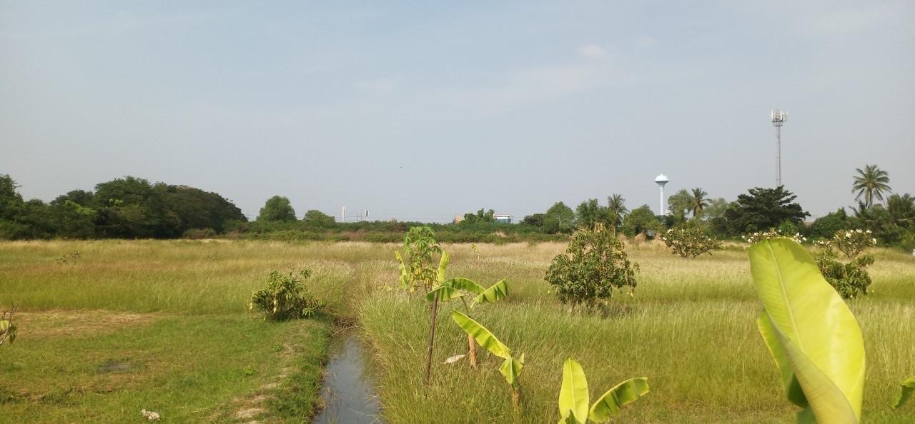 ขายที่ดินเปล่าถมแล้ว ติดถนนพระราม 2 ใกล้ทางด่วนกาญจนาภิเษก-วงแหวนอุตสาหกรรม 11