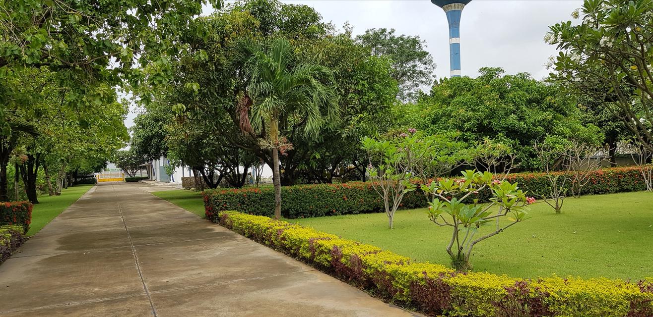 ขายที่ดินพร้อมบ้านและโรงงาน 16