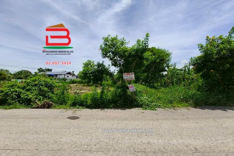 ที่ดินเปล่า กระทุ่มราย-หนองจอก (ซอยสุวินทวงศ์ 98) เนื้อที่ 200 ตรว. ใกล้บิ๊กซีหนองจอก แขวงกระทุ่มราย เขตหนองจอก จ.กรุงเทพมหานคร