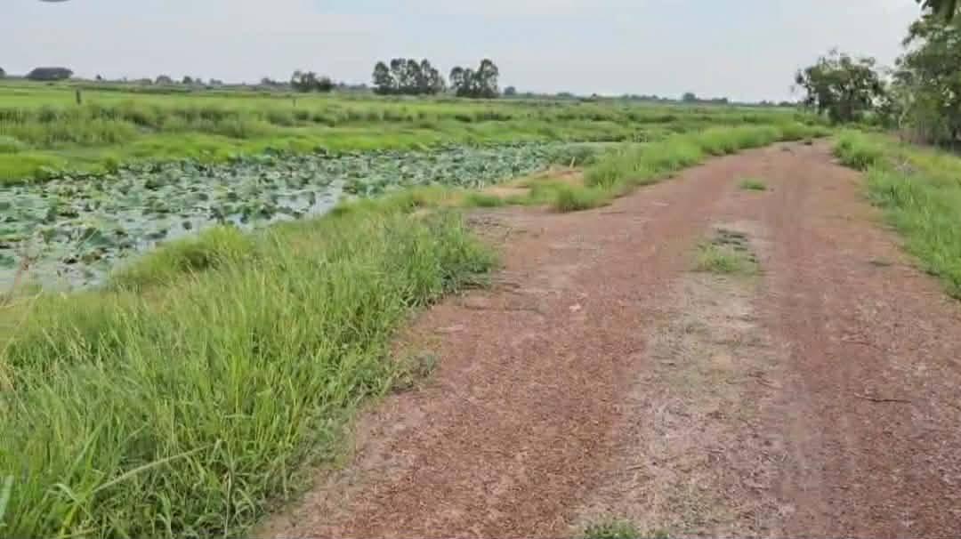 ขายที่ดิน หมู่ 3 ตำบลท่าเรือ อำเภอปากพลี จังหวัดนครนายก 3