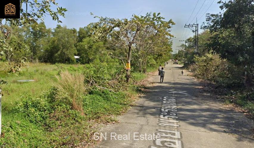 ขายที่ดิน คลอง 10 ซอยพระร่มเกล้า 1-2-24 ไร่ หนองเสือ ปทุมธานี 6