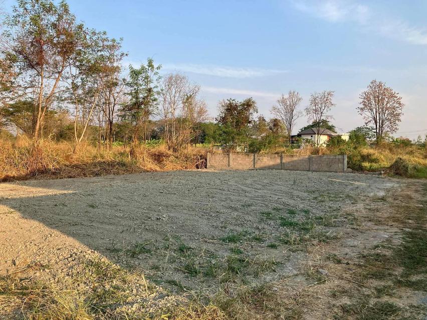 ✅ขายที่ดินเปล่าทำเลดีใกล้เมืองเชียงใหม่ แบ่งสร้างบ้านได้2หลัง 3