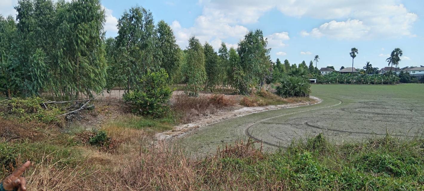 ที่ดิน 15 ไร่ ติดถนนราชพฤกษ์ 4