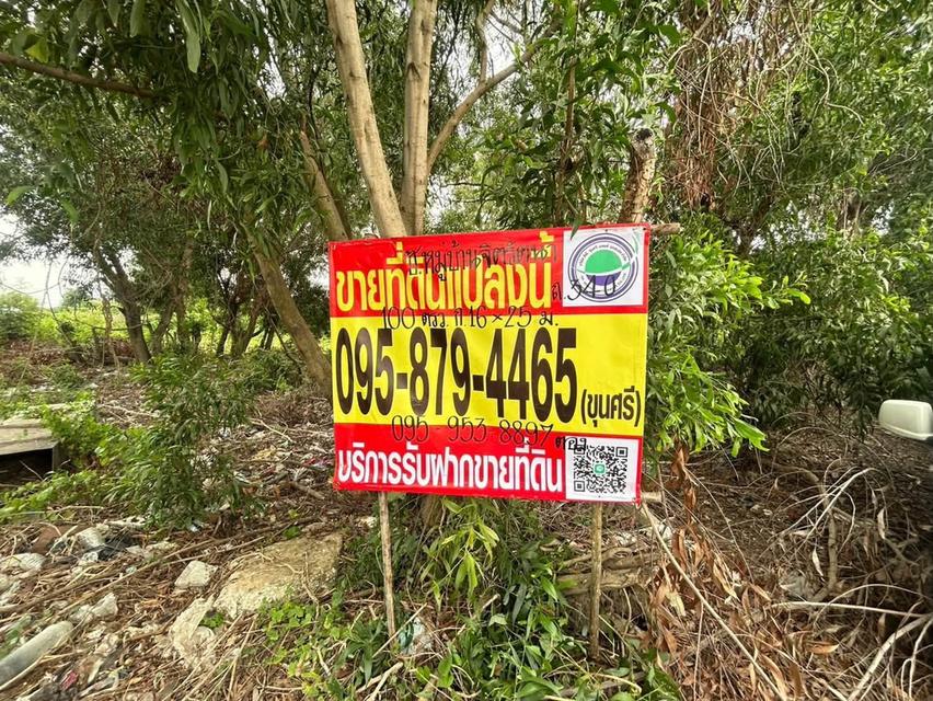 ขายที่ดิน 100 ตรว ติดถนนคอนกรีต ถมแล้ว ซ.หมู่บ้านจิตรัตนา บางบัวทอง นนทบุรี 8
