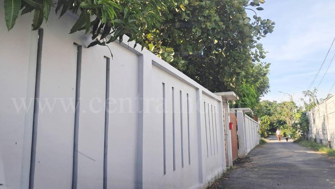 บ้านเดี่ยว พร้อมที่ดินถมแล้ว เทิดราชัน 17 ดอนเมือง ราคาถูก 20