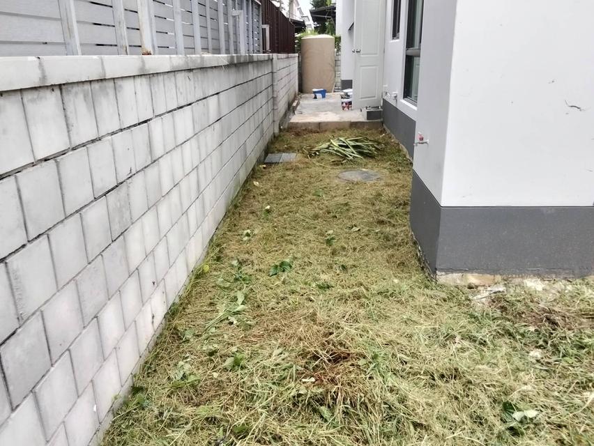 ขาย🏠บ้านเดี่ยว🏠 โครงการ Centro ราชพฤกษ์ สวนผัก บ้านเหมาะกับผู้ที่อยากอาศัยใกล้เมือง เดินทางสะดวก 16