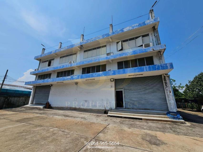 [ให้เช่า] โรงงาน/โกดัง 600 ตร.ว. พื้นที่สีม่วงแท้! จด รง.4 ได้  ทำเลเทียนทะเล 9 เชื่อมต่อพระราม 2ตอบโจทย์ทุกธุรกิจอุตสาหกรรม 14