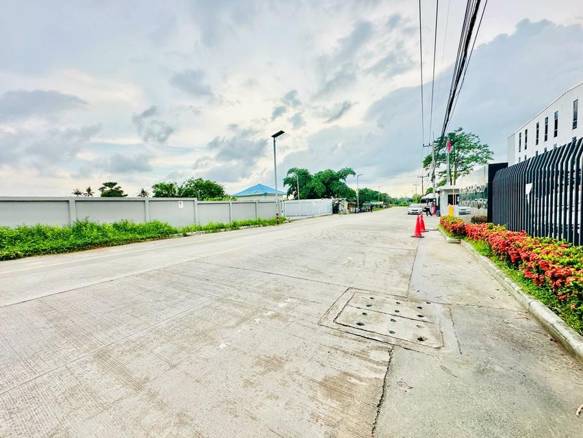 ขายที่ดินชลบุรี เขตพื้นที่ EEC เนื้อที่ 9-1-70 ไร่ ถนนดอนนุ่น ตำบลบึง อำเภอศรีราชา ใกล้นิคมอุตสาหกรรมปิ่นทอง 2