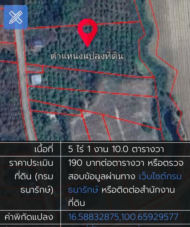 ⛰️ ให้ขุนเขาโอบกอดคุณ... บนที่ดินผืนสุดท้ายที่ "เนินมะปราง" โอกาสเป็นเจ้าของ "The Hidden Gem" วิวภูเขาหินปูนแบบพาโนรามา (Unseen Phitsanulok) 5