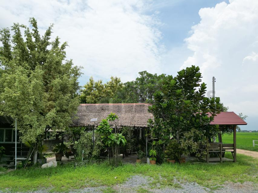 ขาย ที่ดินจัดสรร ลำลูกกา คลอง16 องครักษ์ 2