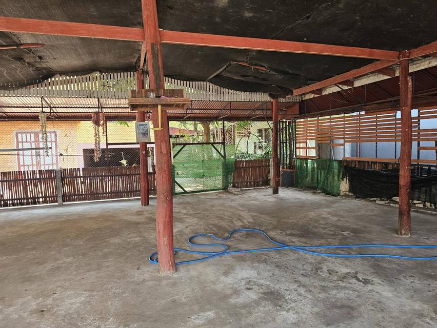 บ้านพร้อมที่ดินใจกลางเมืองหนองคาย 10