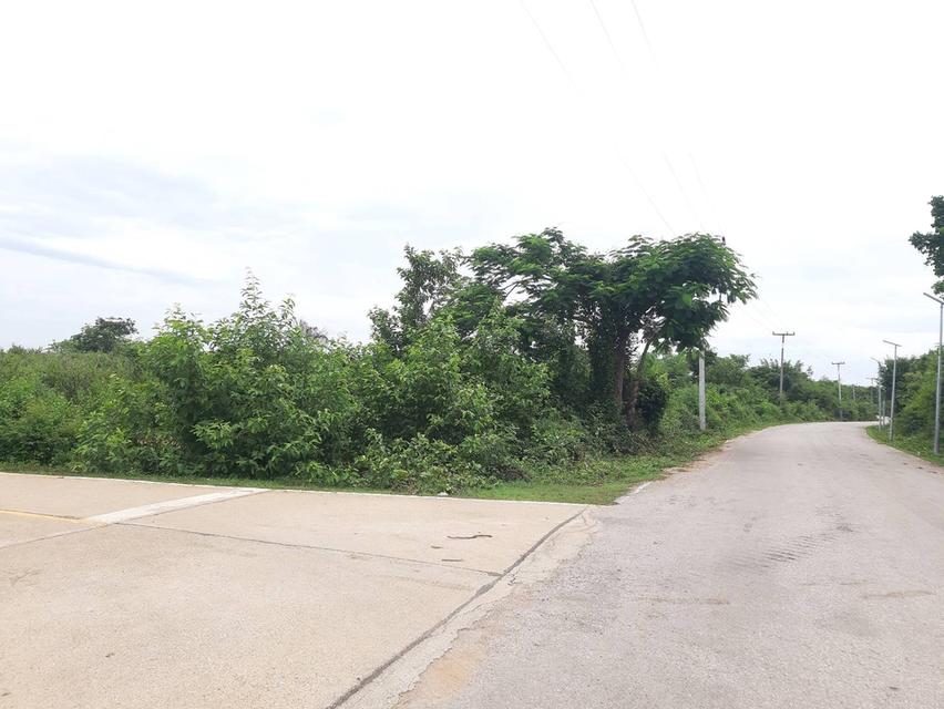 ขายที่ดิน 49 ไร่ ต.เกาะคา อ.เกาะคา ลำปาง ไร่ละ 3 แสน 3
