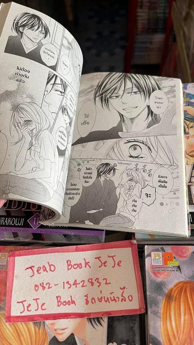 หนังสือการ์ตูน BLACK BIRD 1-18 จบ