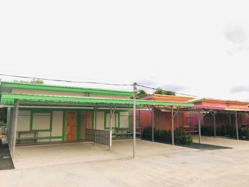 ขายบ้านสวน วิวภูเขา บรรยากาศดี  ชนแดน เพชรบูรณ์ House garden farm at Phetchabun 4