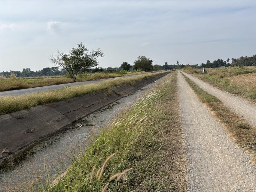 ที่ดินทำการเกษตร ไม่มีสิ่งปลูกสร้าง 3