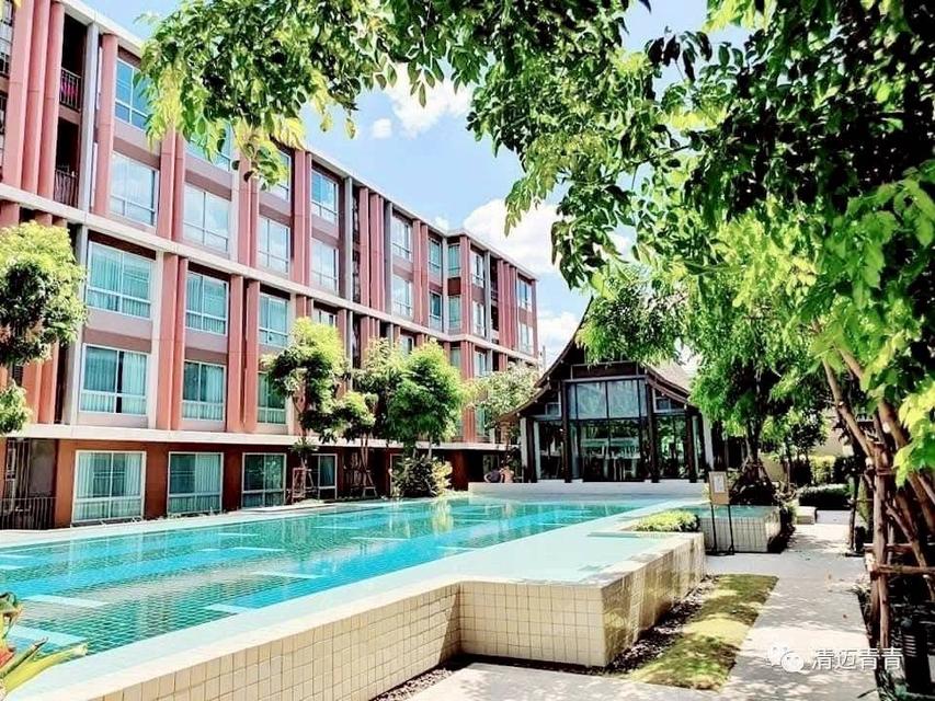 P55 ให้เช่าคอนโด D Vieng Santitham เชียงใหม่ 2