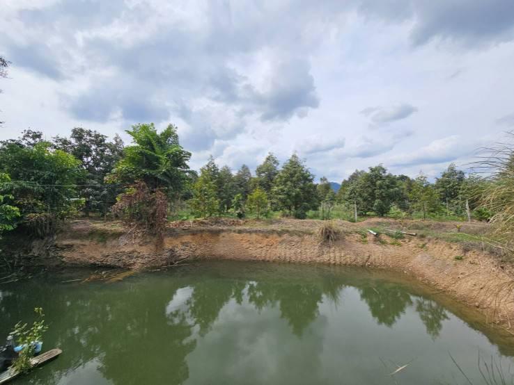 ขายที่ดินพร้อมสวนผลไม้ 5 ไร่  อำเภอนายายอาม จันทบุรี 7