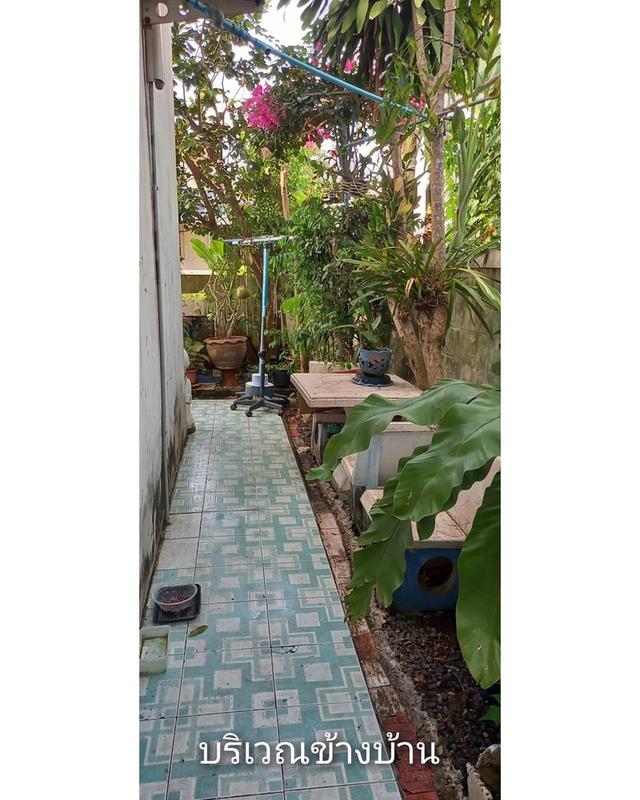 บ้านเดี่ยวพร้อมที่ดิน เจ้าของขายเอง ราคาถูกต้องการขายด่วน 15