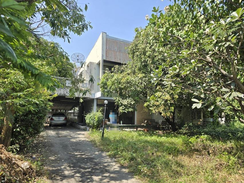 ขาย ที่ดิน พร้อมสิ่งปลูกสร้าง 142 ตร.ว. พัฒนาการ 38 พระโขนง กรุงเทพฯ 5