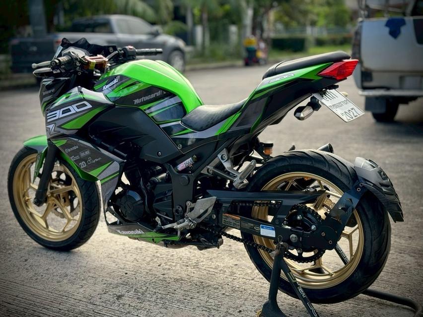Z300