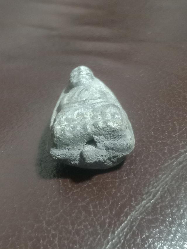 หลังอยู่ตลับผักแม่กล่อง