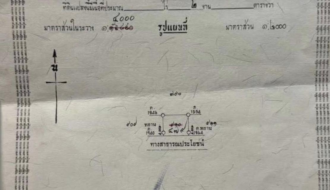 ขายด่วน ที่ดิน คลองสาม 200 ตร.ว.(1.6 ล้าน) 4