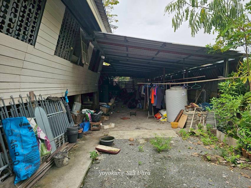 ขายที่ดิน 3-0-80 ไร่ พร้อมสิ่งปลูกสร้าง ติดถนนเลียบคลองขุนศรี ต.ไทรน้อย อ.ไทรน้อย จ.นนทบุรี 8