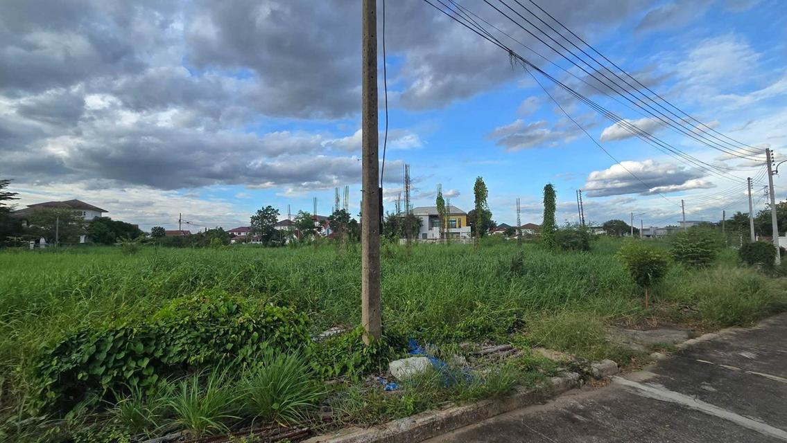 ขายด่วนที่ดินใกล้ฟิวเจอร์พาร์ครังสิต 166 ตรว ติดถนนคอนกรีตสาธารณะ ม.กฤษดานคร 19 ซอย ทิชาชล 4/2 คลองหลวง ปทุมธานี 3