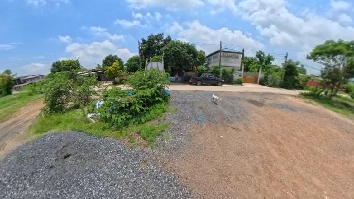 ที่ดินปล่าว ถมแล้ว ทำเลทอง ตลาดไท คลองหลวง ปทุมธานี 4