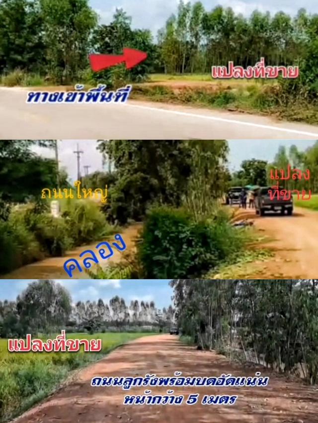 ขายที่ดิน 20 ไร่ จ.กำแพงเพชร 2