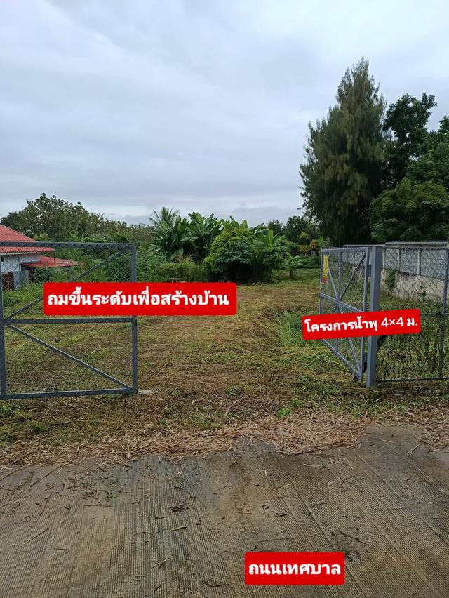 ขายที่ดินโฉนดปากช่องกลางดงมวกเหล็ก 3