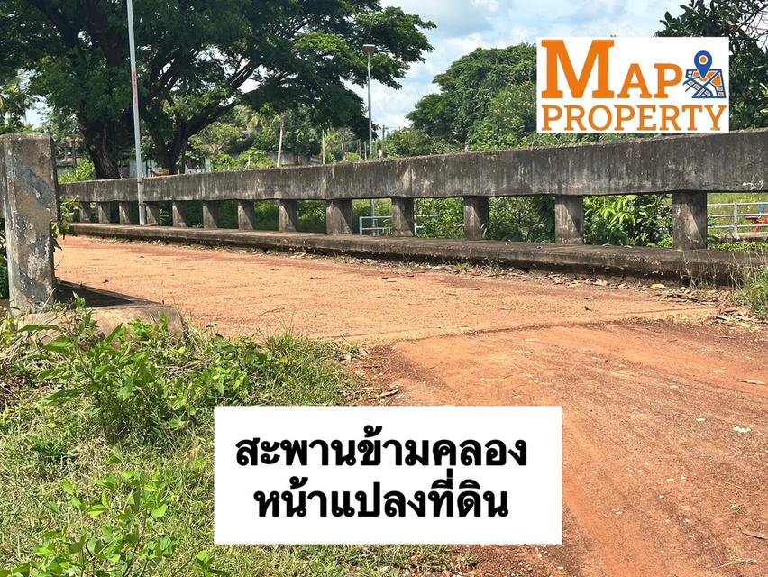 ขายที่นาแปลงสวย แปลงมุมติดถนน 2 ด้าน เนื้อที่ 9 ไร่กว่า ทำเลดีมีอนาคต 10