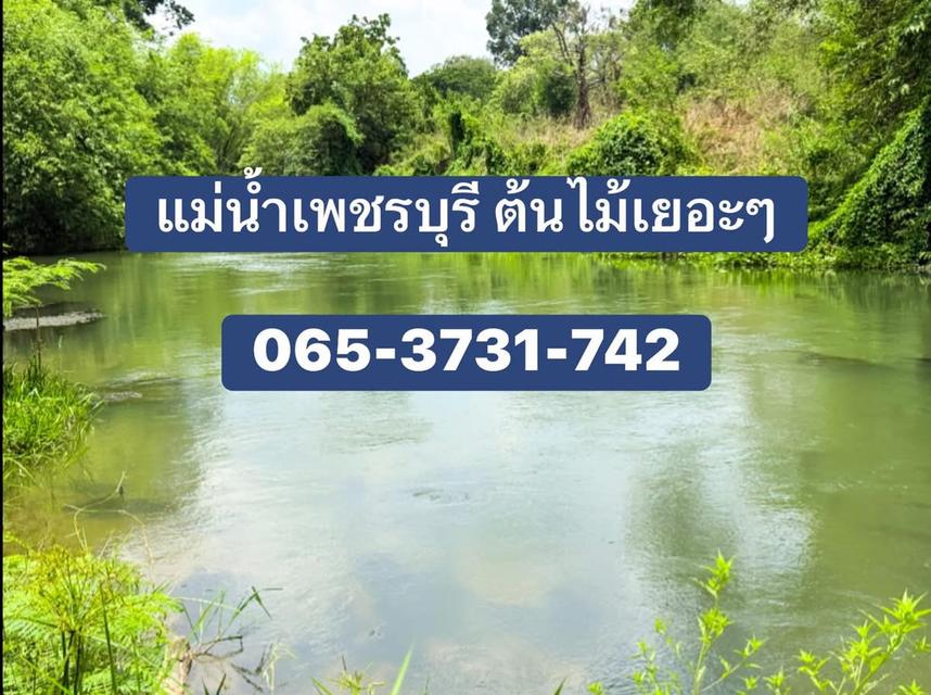 ที่ดินติดแม่น้ำเพชรบุรี ราคาถูก อากาศดี ใกล้ชุมชน 1