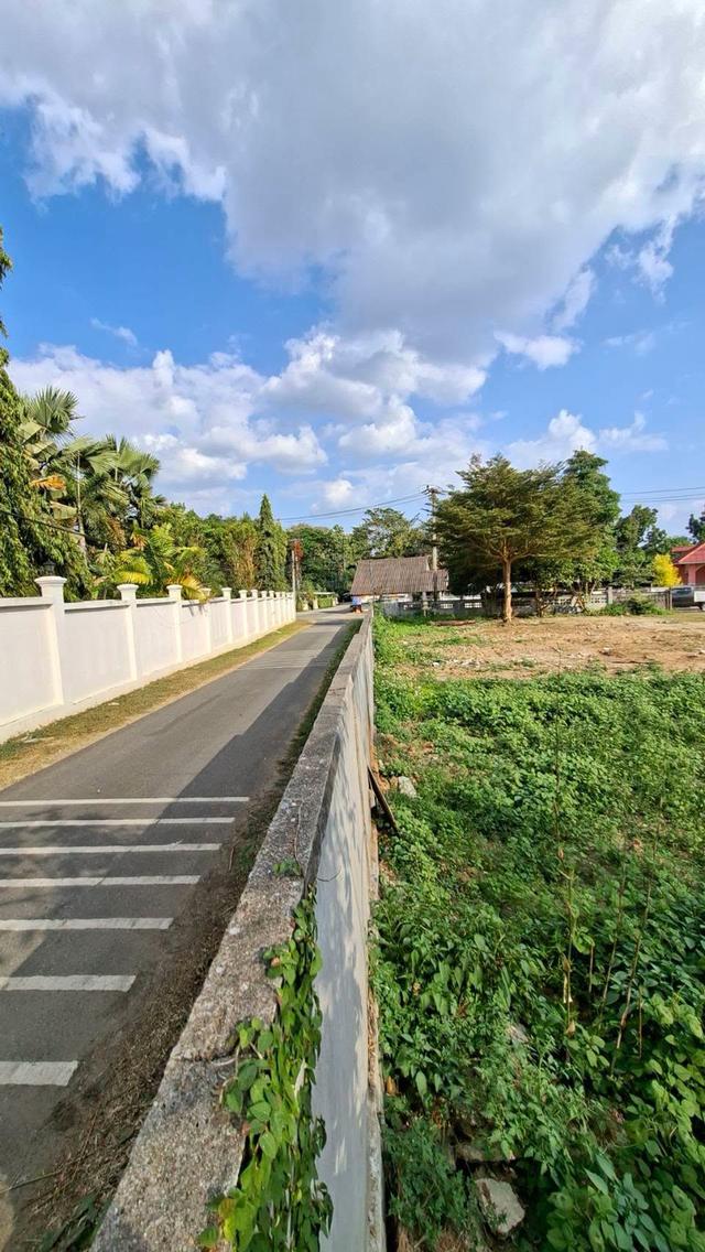 ที่ดินทำเลดี ต.น้ำแพร่ อ.หางดง จ.เชียงใหม่ 6