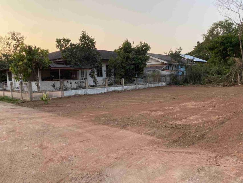 ขายที่ดินหนองคาย 1 งาน 1,400,000 บ. 2