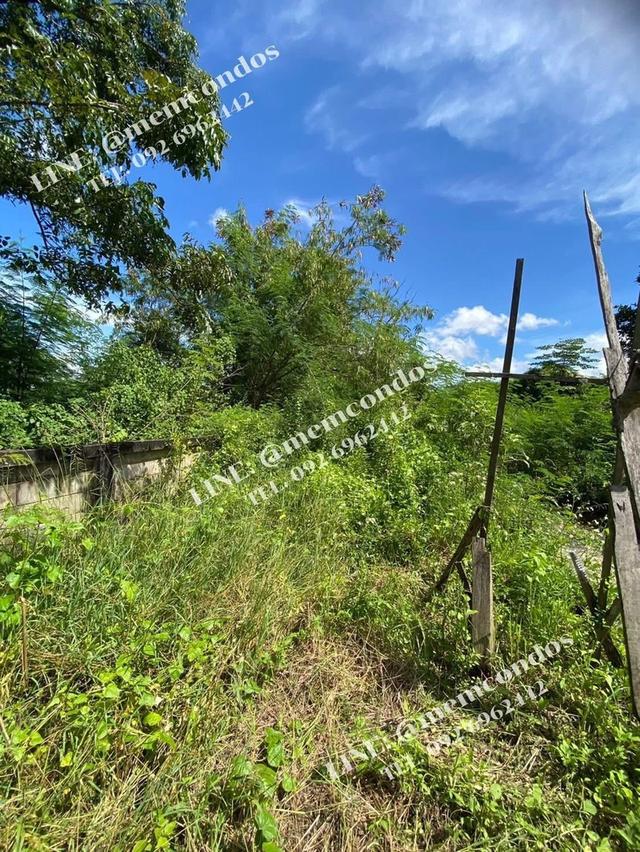 ที่ดินทมแล้ว พร้อมสิ่งปลูกสร้าง พัฒนาต่อได้เลย (น้ำไม่ท่วม) 8