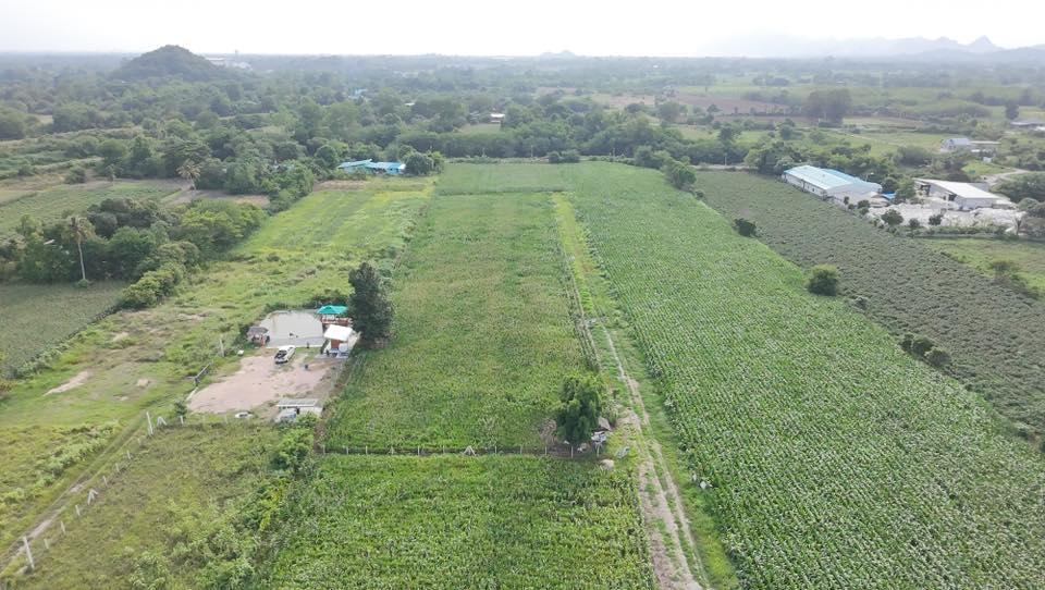 ขายที่ดินโฉนดครุฑแดงสระบุรี ราคาถูก1ไร่ 690,000หกแสนเก้าหมื่น บ้านหนองหว้า อ.เฉลิมพระเกียรติ จ.สระบุรี โทร098 513 6286 8