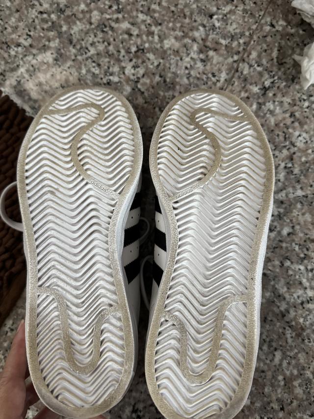 รองเท้า adidas superstar