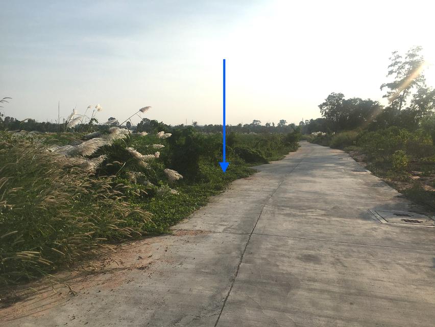 ขายที่ดินผังเมือง EEC เนื้อที่ 12.5ไร่ ติดถนน 85เมตร ลึก 300เมตร ตำบลบึง ศรีราชา ชลบุรี ใกล้นิคมปิ่นทอง ใกล้ตลาดบึงวรกิจ ใกล้ ทล.3009 3