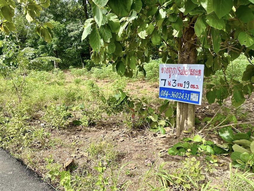 ขายที่ดิน ศรีมหาโพธิ ปราจีนบุรี 3